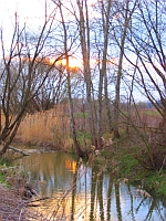 A Csörnöc-patak ősszel