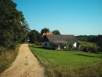 A Szőlő-hegy fotója