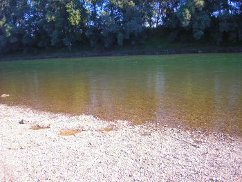 A fotó a csendes Tisza-partot mutatja